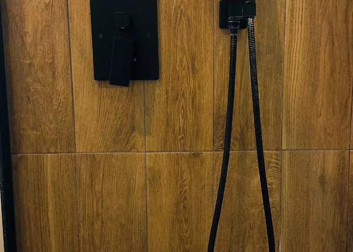 Big Nest - Artitude *